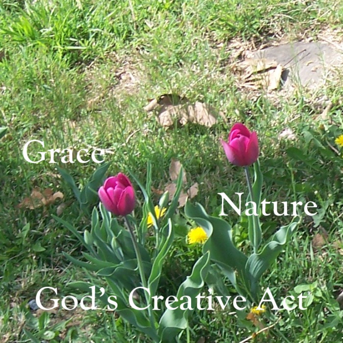 grace and nature